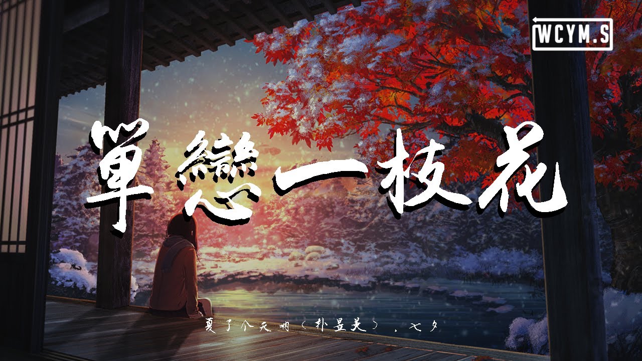 夏了个天呐 (朴昱美) & 七夕 - 单恋一枝花(翻自 张宇)【動態歌詞/Lyrics Video】