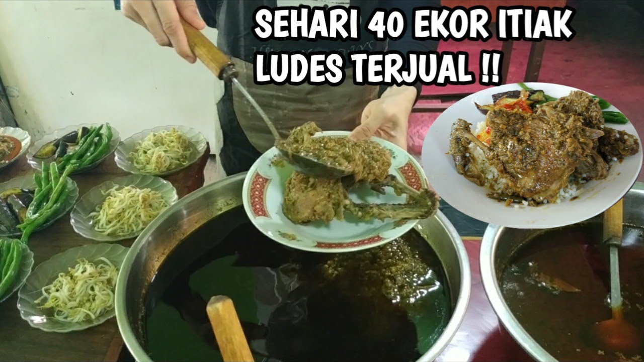40 EKOR ITIAK LUDES SATU HARI, ITIAK LADO HIJAU NGARAI SIANOK BUKITTINGGI
