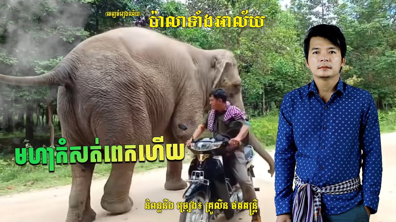 ចេញចំរៀងហើយ មហាកំសត់ បទ ប៉ាលាទាំងអាល័យ និពន្ធនឹងច្រៀងដោយ គ្រូលីន
