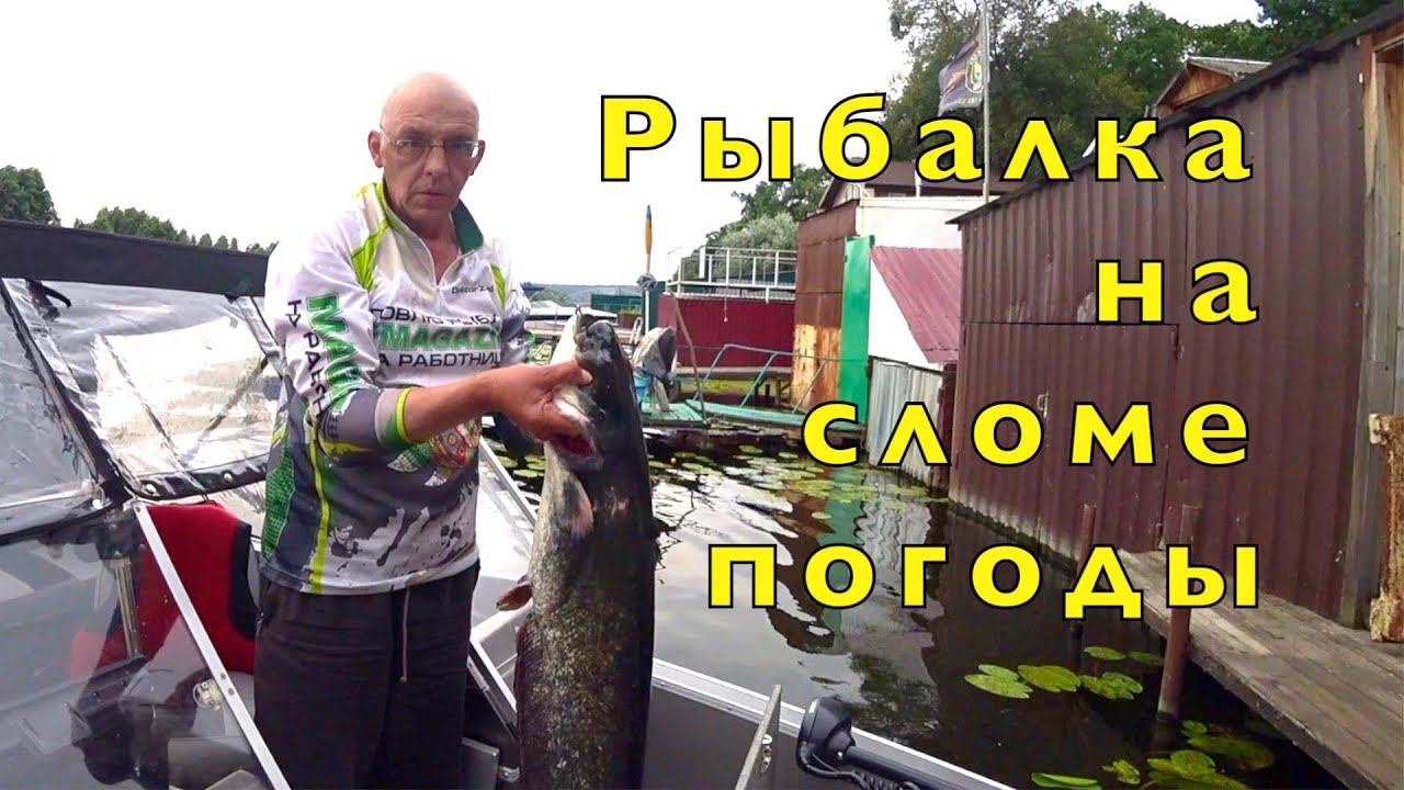 СОМ чуть не СЛОМАЛ СПИННИНГ и  РАЗДАЧА СУДАКА.