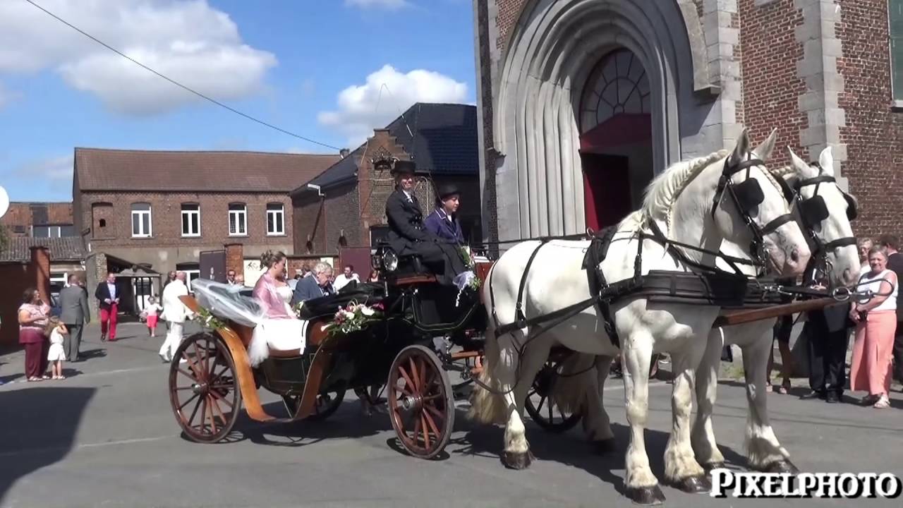 Mariage en calèche au chateau d attre +32473563760