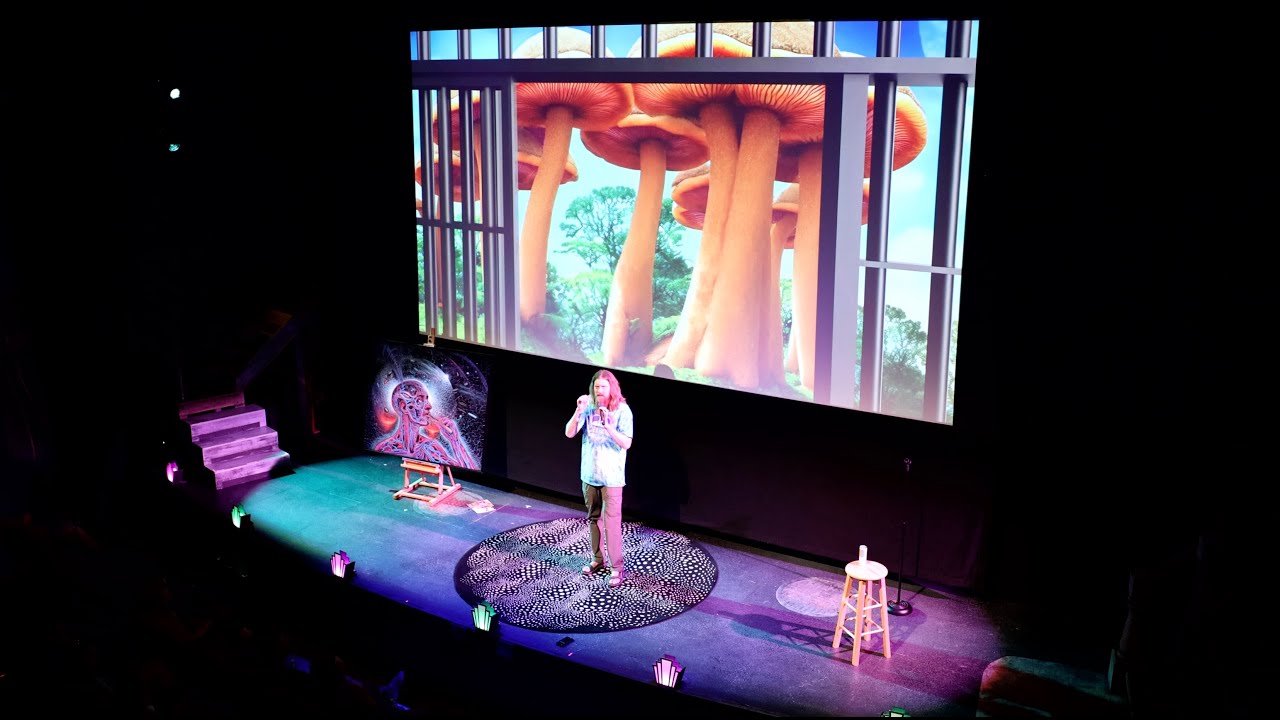 The Chambers Project  - Shane Mauss Psychedelic Comedy Tour Pre-show Video