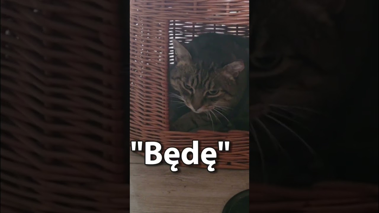 Żbiczek obiecuje