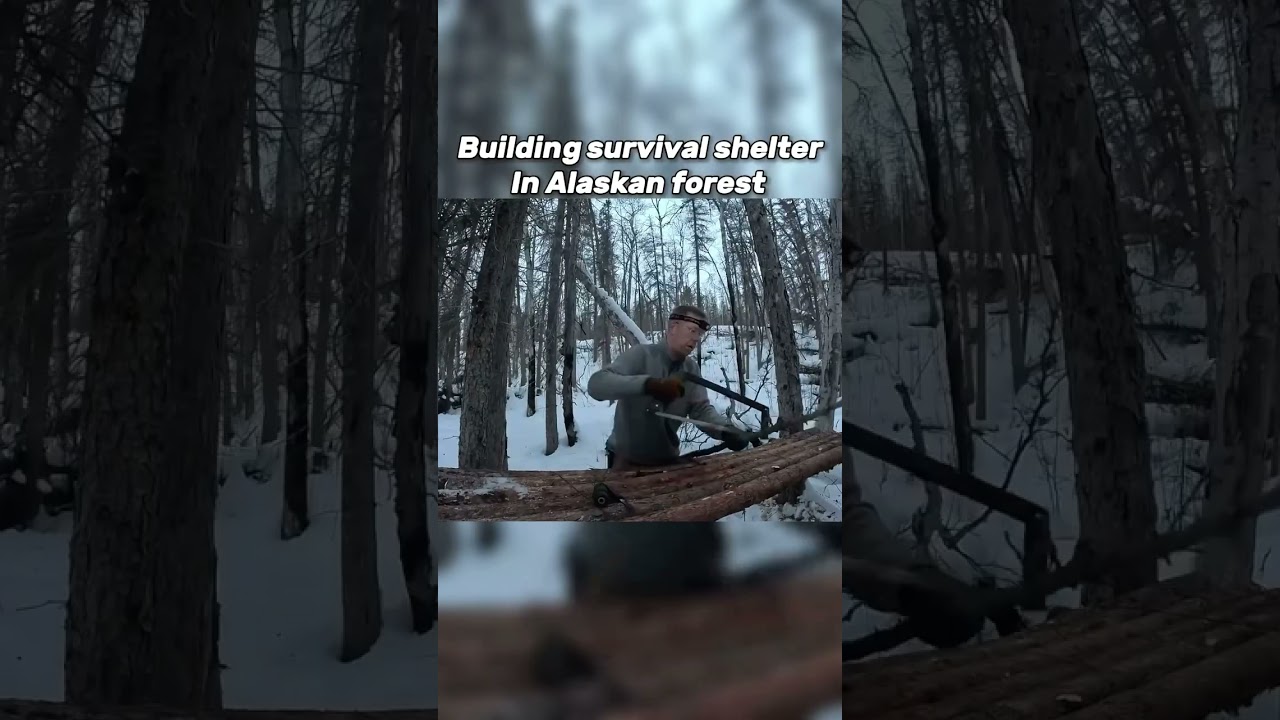 building survival shelter in Alaska #alaskaadventure