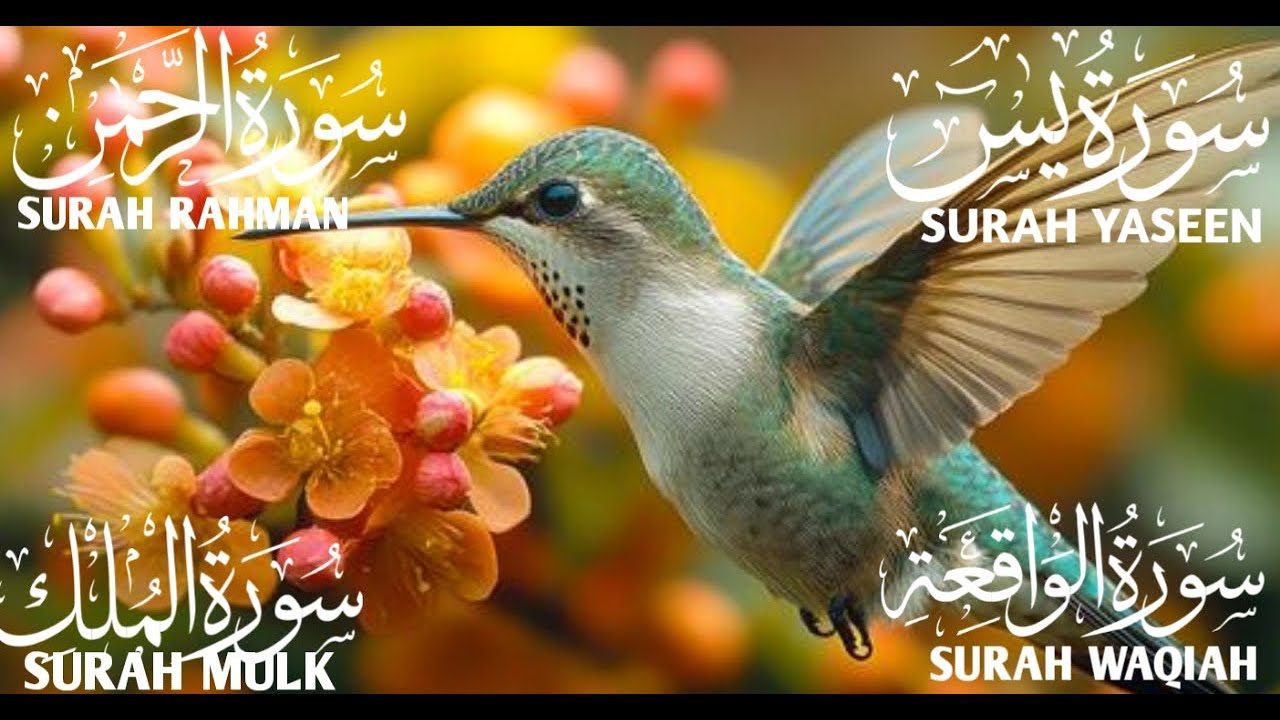 تلاوة تريح القلب سورة يس❤️الواقعة❤️الرحمن❤️الملك❤️ لزيادة الرزق و البركة.Yaseen🔴Rahman🔴Mulk🔴Waqiah💫🕋