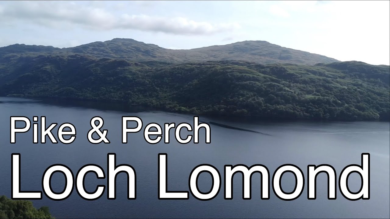 Pike & Perch Fishing | Exploring Loch Lomond | Scotland