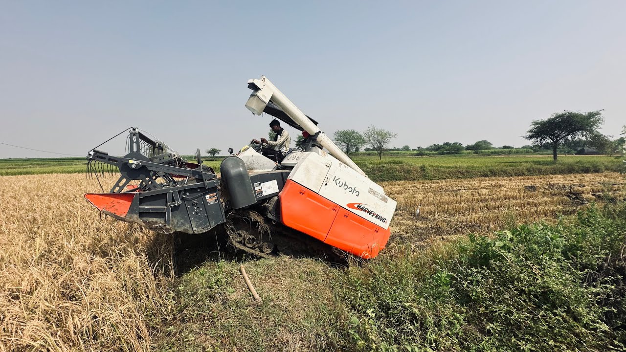 Kubota harvest work in pendy farm