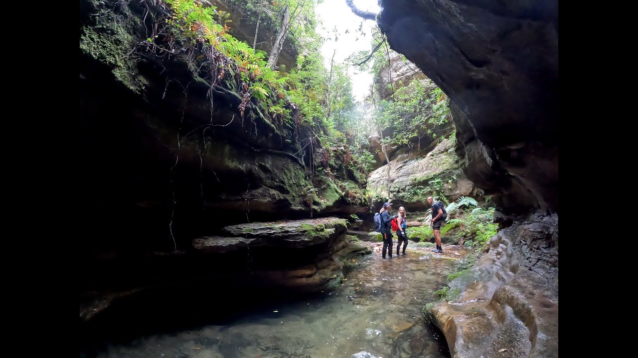 Birrabang Canyon Track - Blue Mountains, NSW