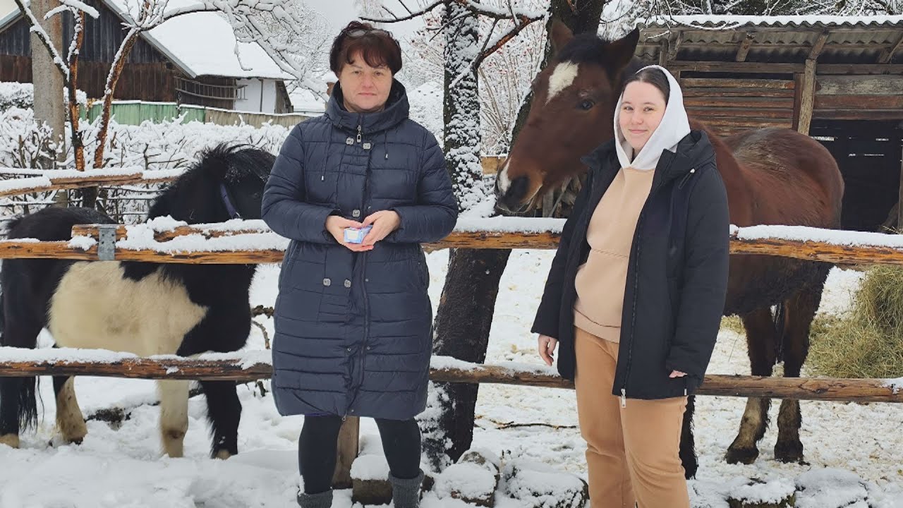 Родина із Запорізької області перевезла на Прикарпаття 19 собак, 2 коней та 2 котів