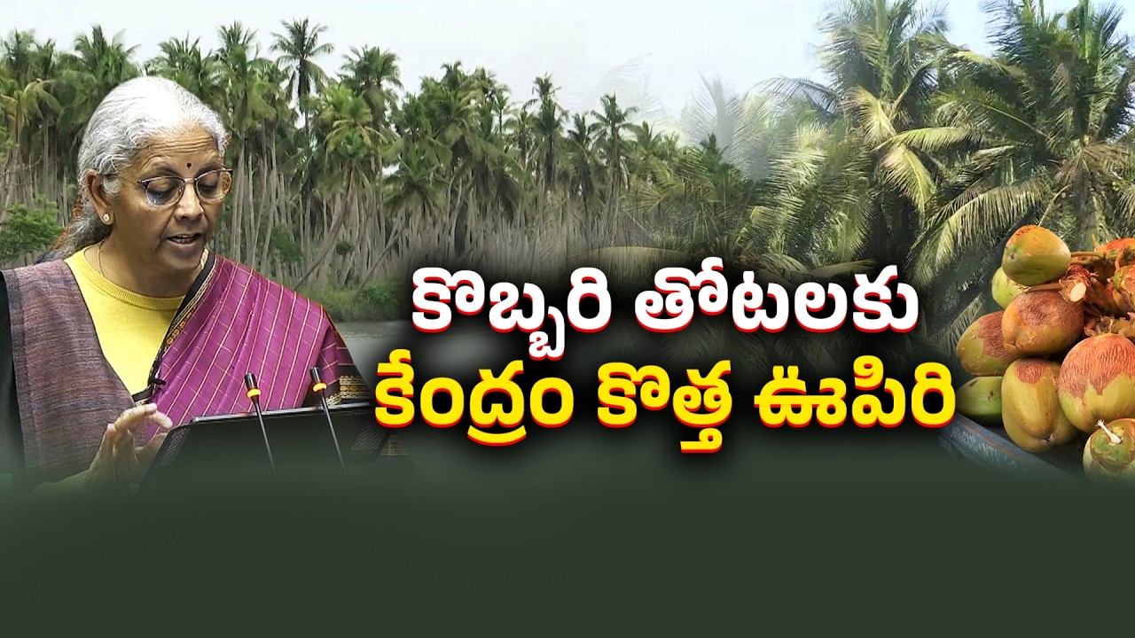 Coconut Farming Revival Plan Announced in Budget 26 | New Hope for Konaseema Farmers || Idi Sangathi