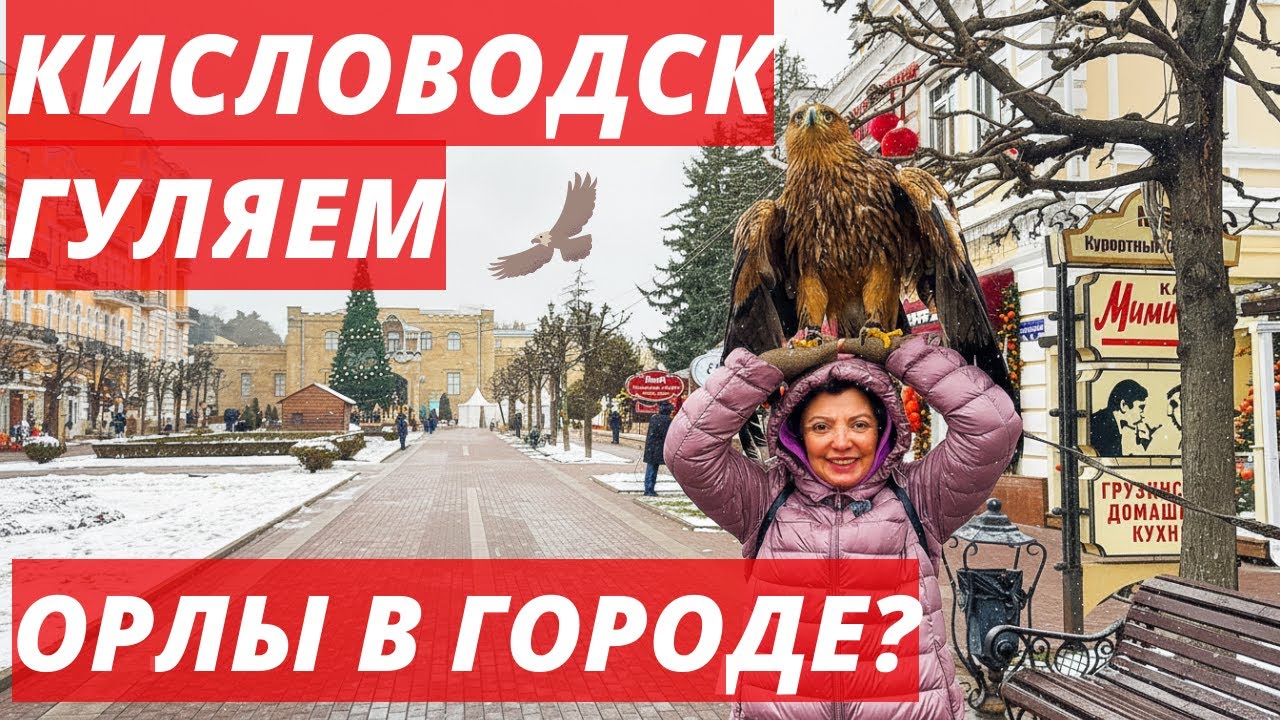 🟢Кисловодск удивил! 😍 Прогулка по бульвару и орёл прямо на голове 🦅