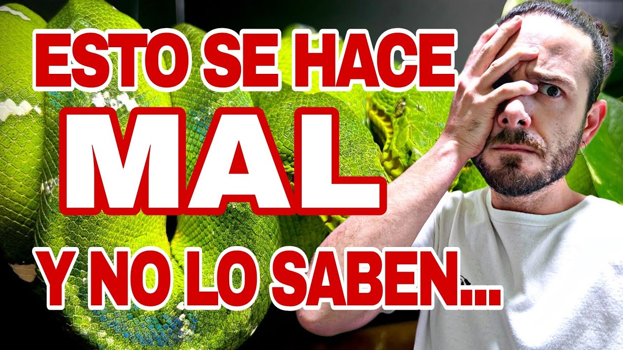 TOP 5 de FALLOS en el MANTENIMIENTO// Estoy HARTO de ESTOS ERRORES 😡😡😡