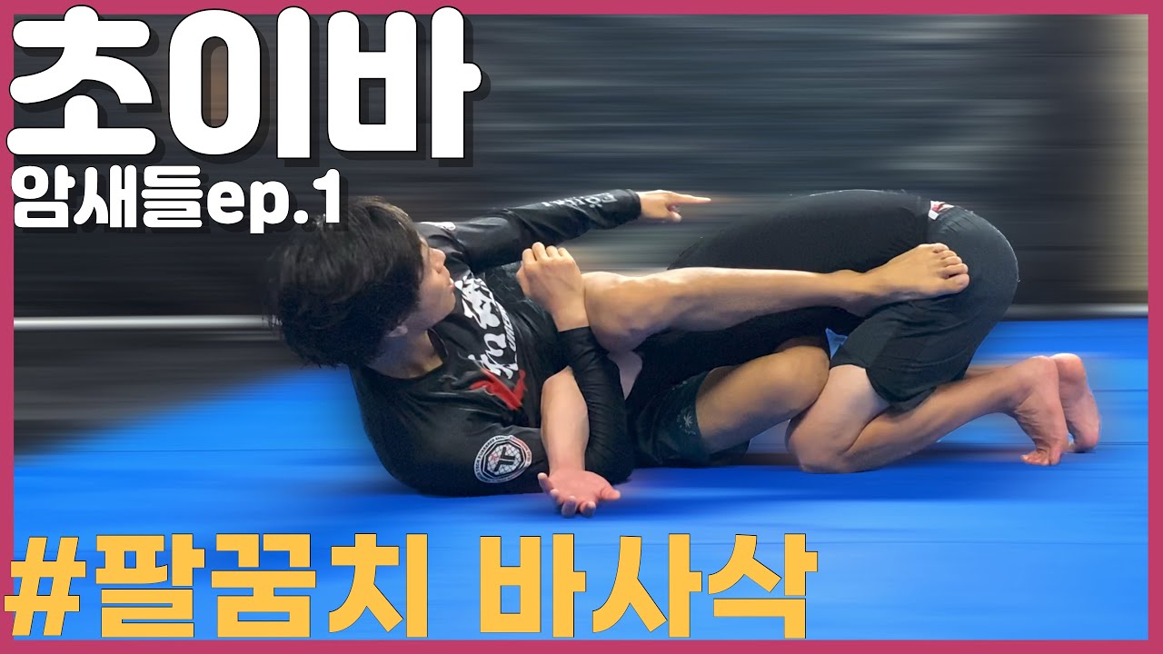 월드클라스 선수들도 쓰는 초이바! | 노기 주짓수 암새들ep.1