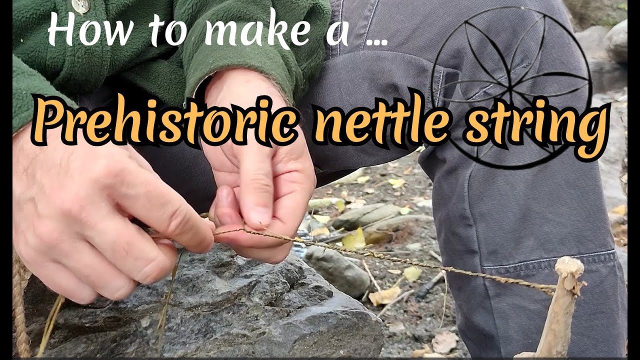 “How to make a prehistoric nettle string.