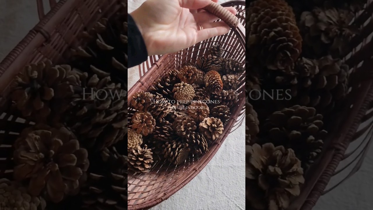 How to prep and clean pinecones for indoor use. #christmas #pinecones #homedecor #holidaydecor