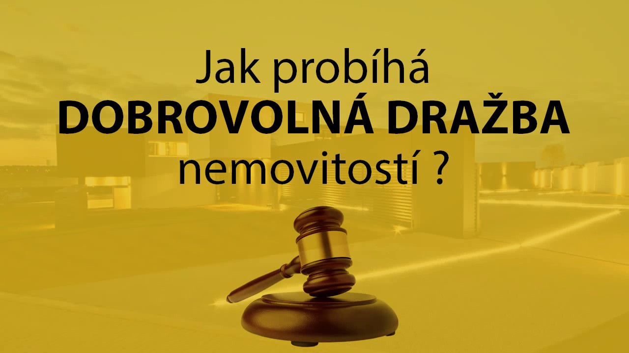 DOBROVOLN&Aacute; DRAŽBA NEMOVITOST&Iacute; - fenom&eacute;n dne&scaron;n&iacute; doby
