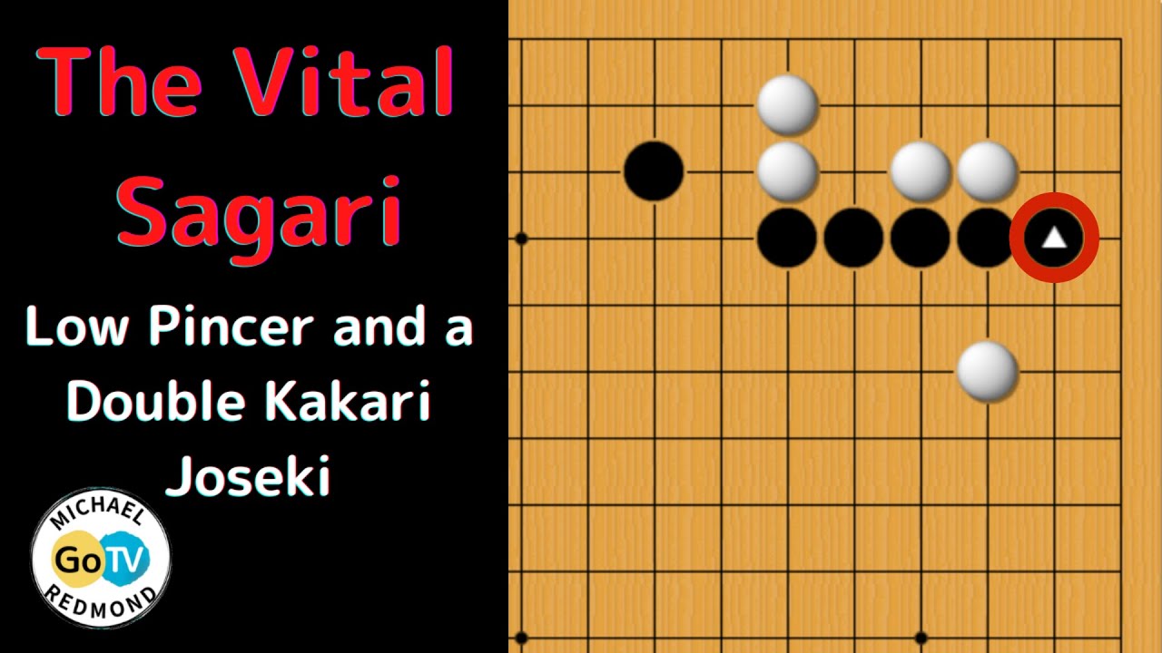 The 1-Space Low Pincer and the Double Approach Joseki