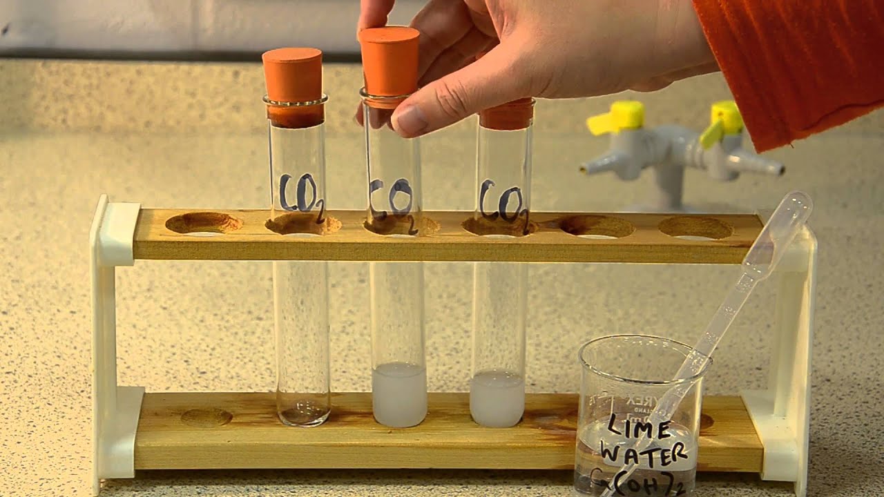 Gas Tests: The Tests for Carbon Dioxide, Oxygen and Hydrogen