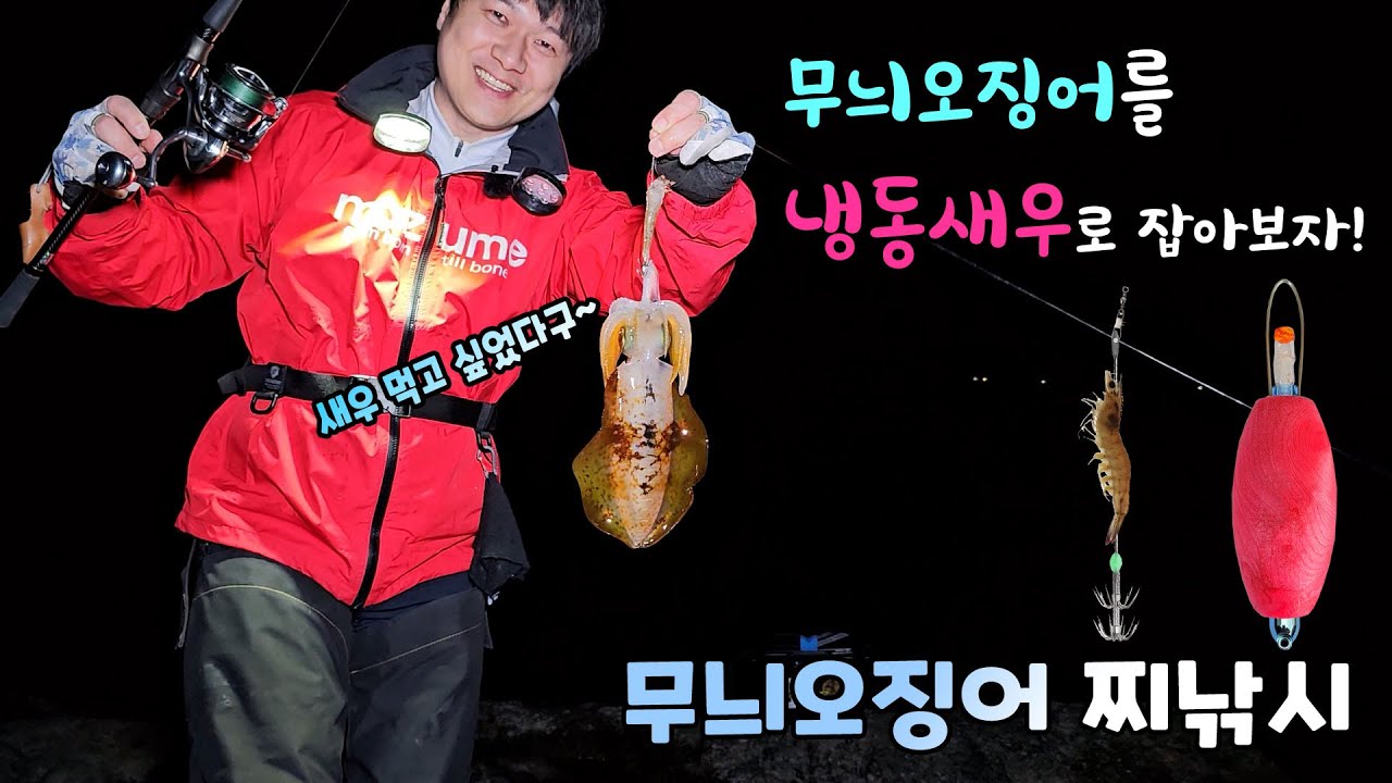 냉동새우로 무늬오징어 찌낚시! 편안하게 잡아보자! 한치 너는뭐냐?