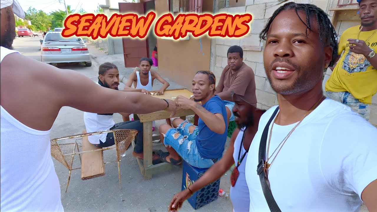 Seaview Gardens в Кингстоне | ШОКИРУЮЩИЕ КАДРЫ
