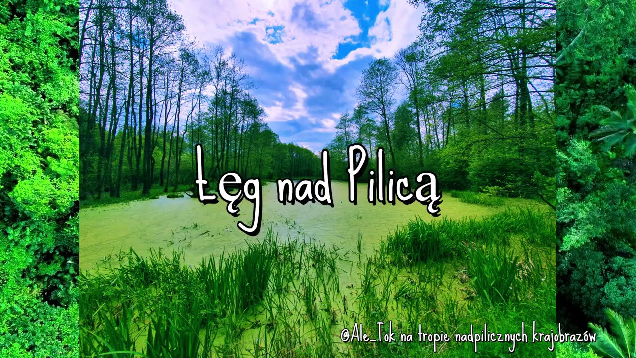 @Ale_Tok na tropie nadpilicznych krajobrazów: Łęg