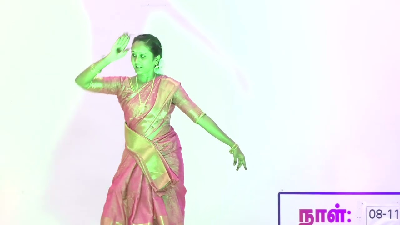 CSTI Cultural programme