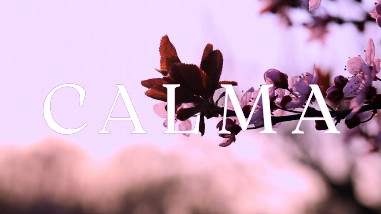 CALMA 🩷 Música Relajante para Reducir el Estrés y Calmar la Mente