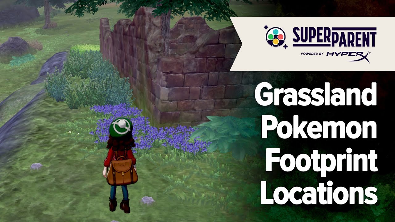 Pokemon Sword and Pokemon Shield - Grassland Pokemon Footprint Locations (The Crown Tundra)