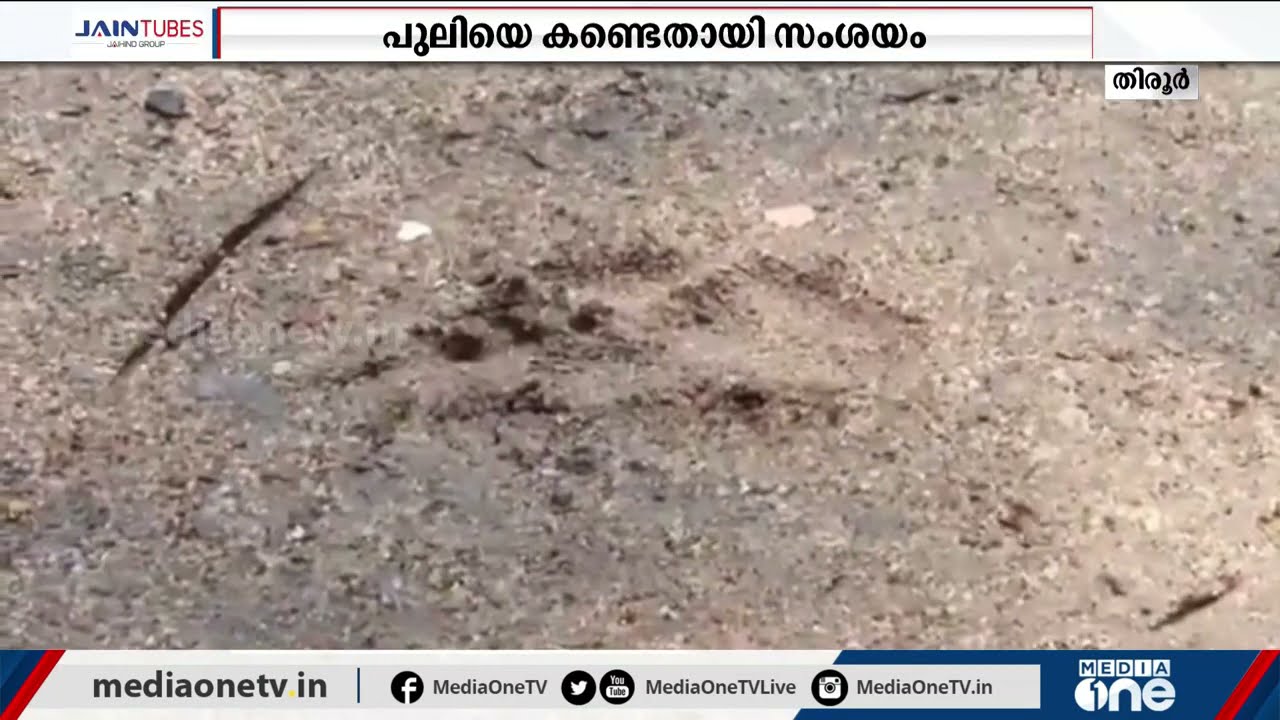 മലപ്പുറം തിരൂര്‍ താഴെപ്പാലത്ത് പുലിയെ കണ്ടതായി നാട്ടുകാർ | Leopard | Tirur |