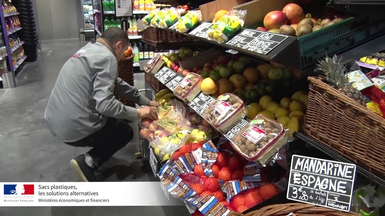 Interdiction des sacs plastiques : quelles alternatives ?