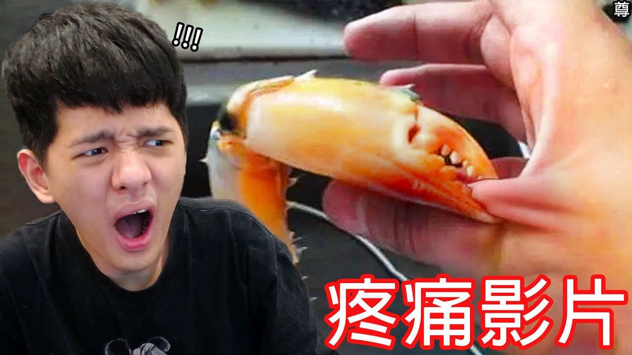 【尊】所有你能想到的疼痛都在這個影片裡...【第二頻道】職業高手贏家才答對贏