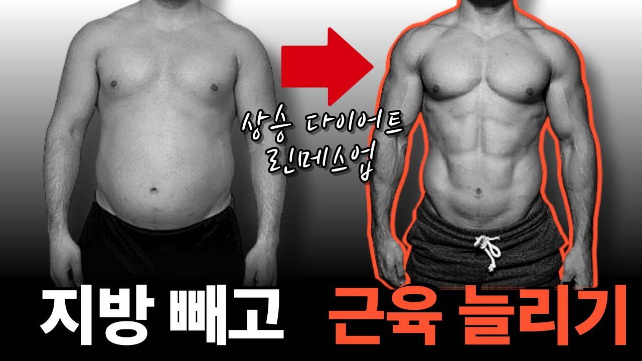 근육량 변화 없다고? 근손실 없는 다이어트 방법 feat. 상승다이어트, 린메스업