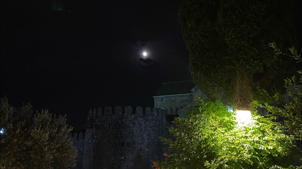 როგორ ჩანაცვლდა მეგობარი/ ცხოვრება კარგი მასწავლებელია…