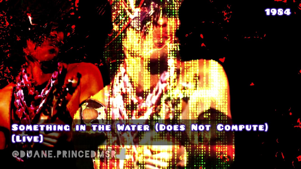 Prince Live. Something in the Water (Does Not Compute) 1984. @duane.PrinceDMSR 