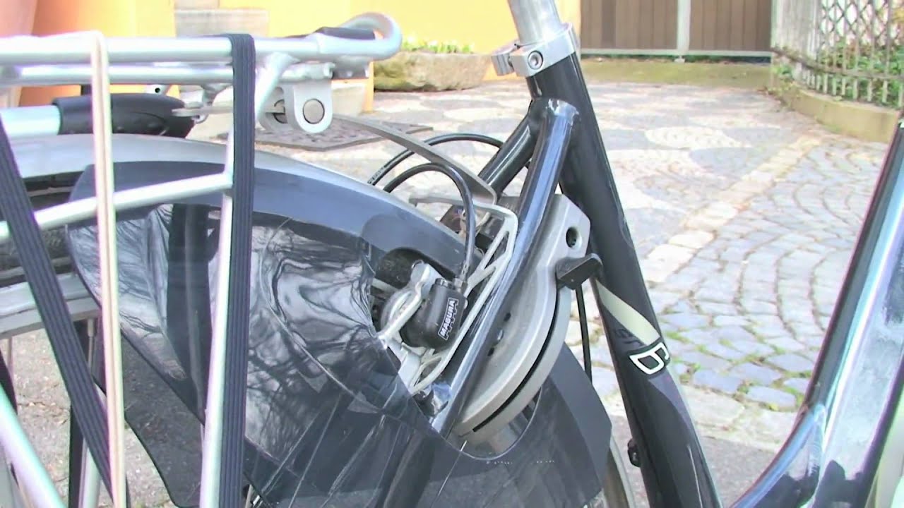 &raquo;ElektroRad&laquo; 01/2010: Im Test - das Batavus Padua Easy Premium