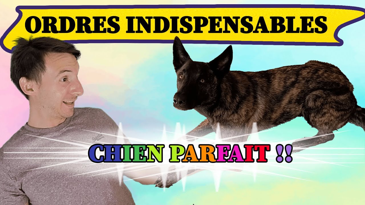 APPRENDRE les ordres de base
