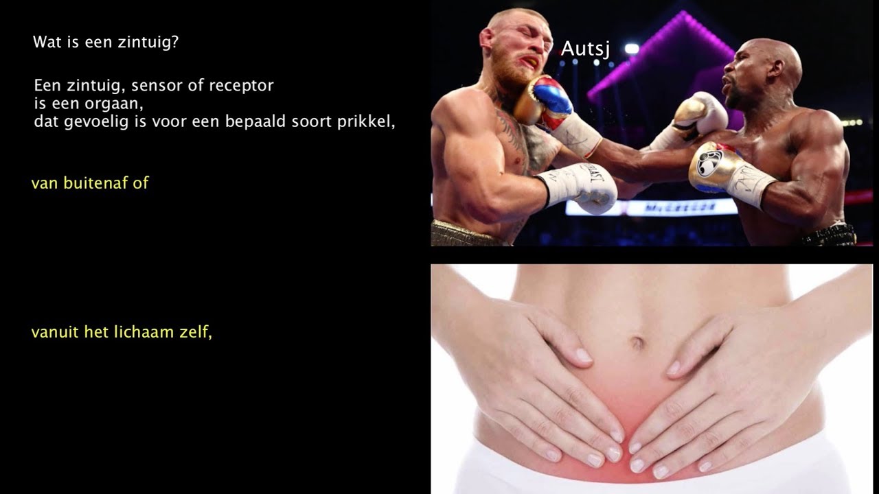 Zintuigen algemeen
