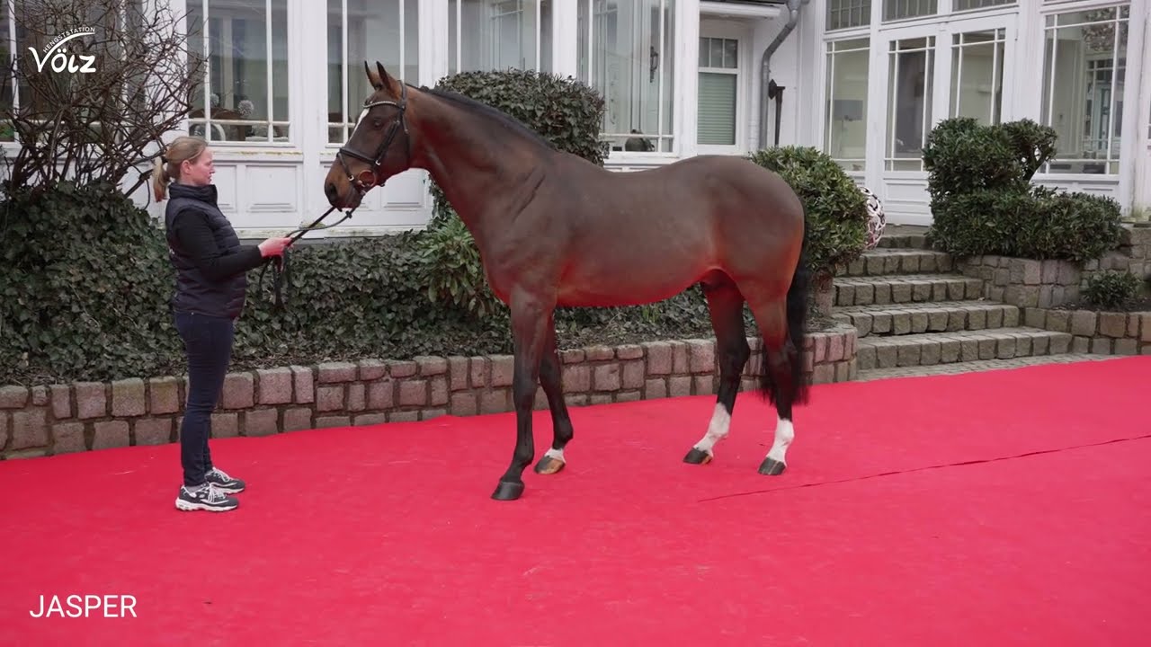 Jasper (Heartbreaker / Darco / Ramiro Z)