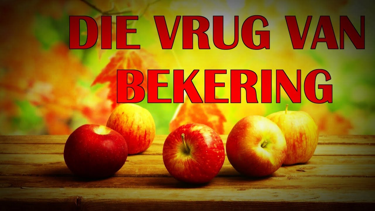 Die Vrug Van Bekering - Deon Allers