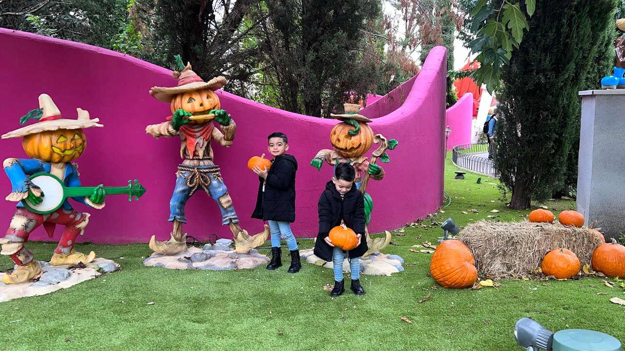 VLOG: fin de semana ,receta de cocido🤤, vamos al aquarium🐠 , Warner halloween 🎃