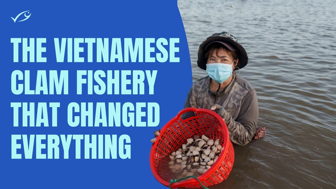 The Vietnamese Clam Fishery that Changed Everything