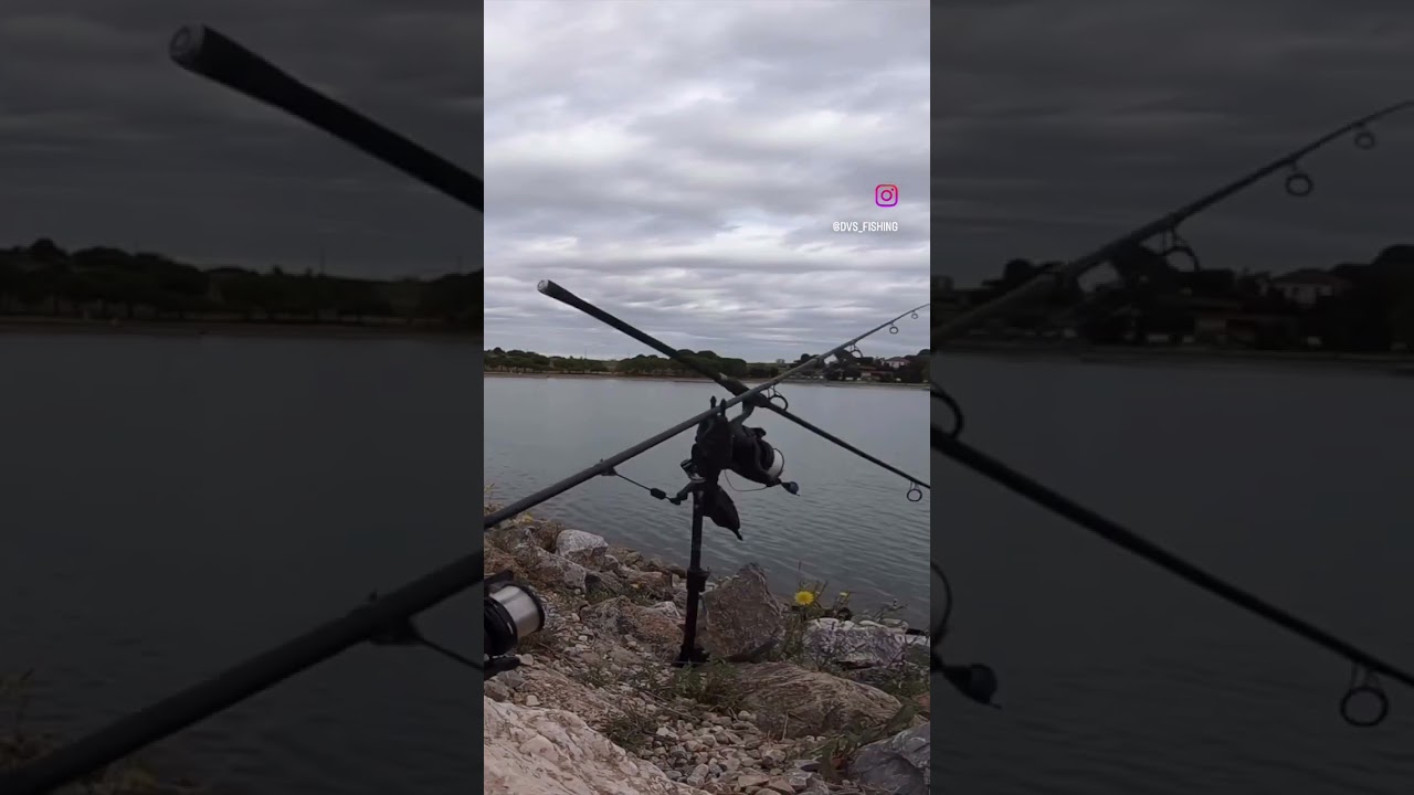 CARPFISHING - RIVER CARP RUN GOES ALMOST WRONG - #carpfishing #fishing #riverfishing #millionviews