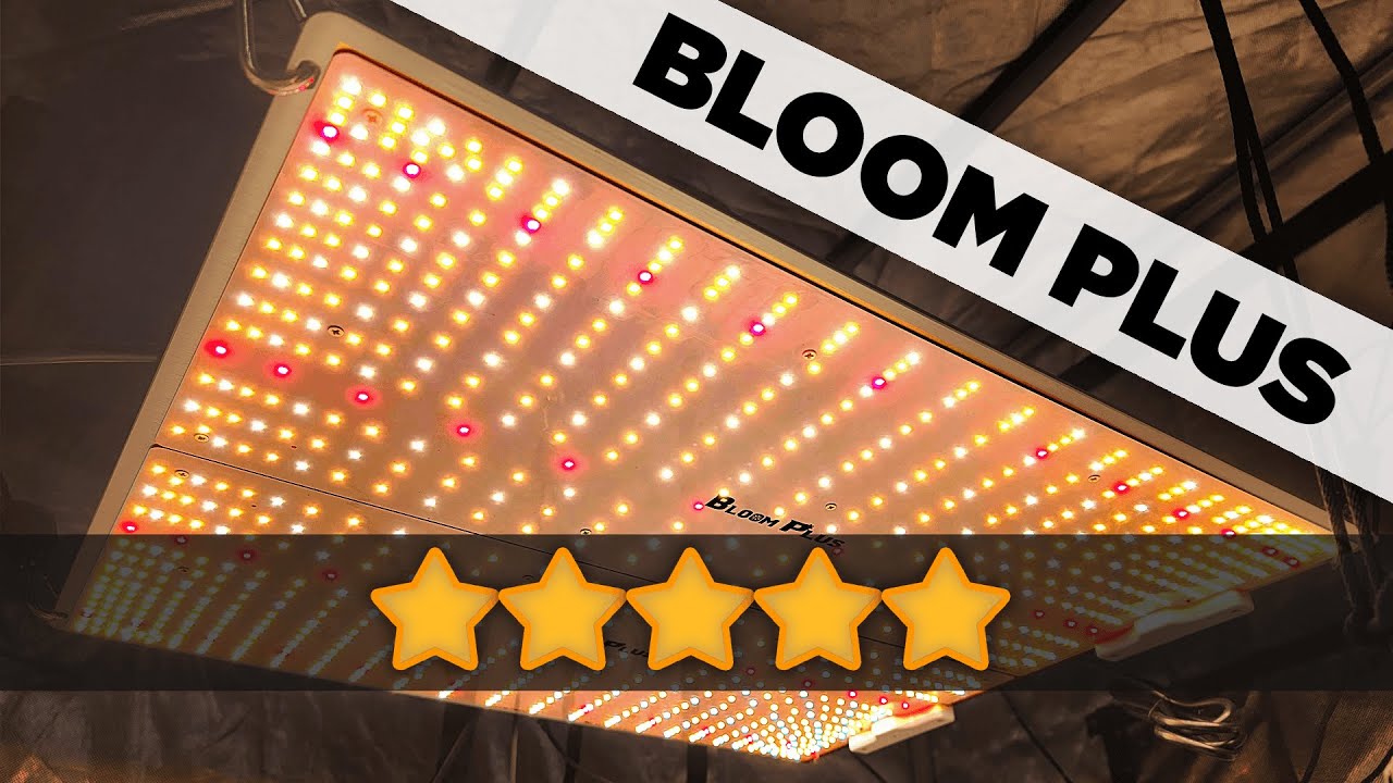 Bloom Plus XP-4000 XP4000 LED Grow Light Unboxing and Review - LM301H Full Spectrum 1500 2500 3000