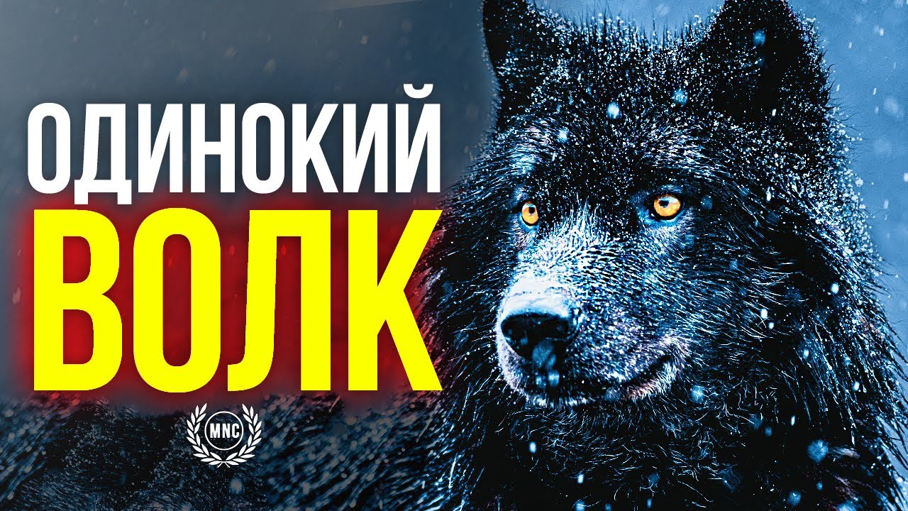Сборник Мотивационных Речей #8 — ОДИНОКИЙ ВОЛК (Для тех кто - ОДИН)