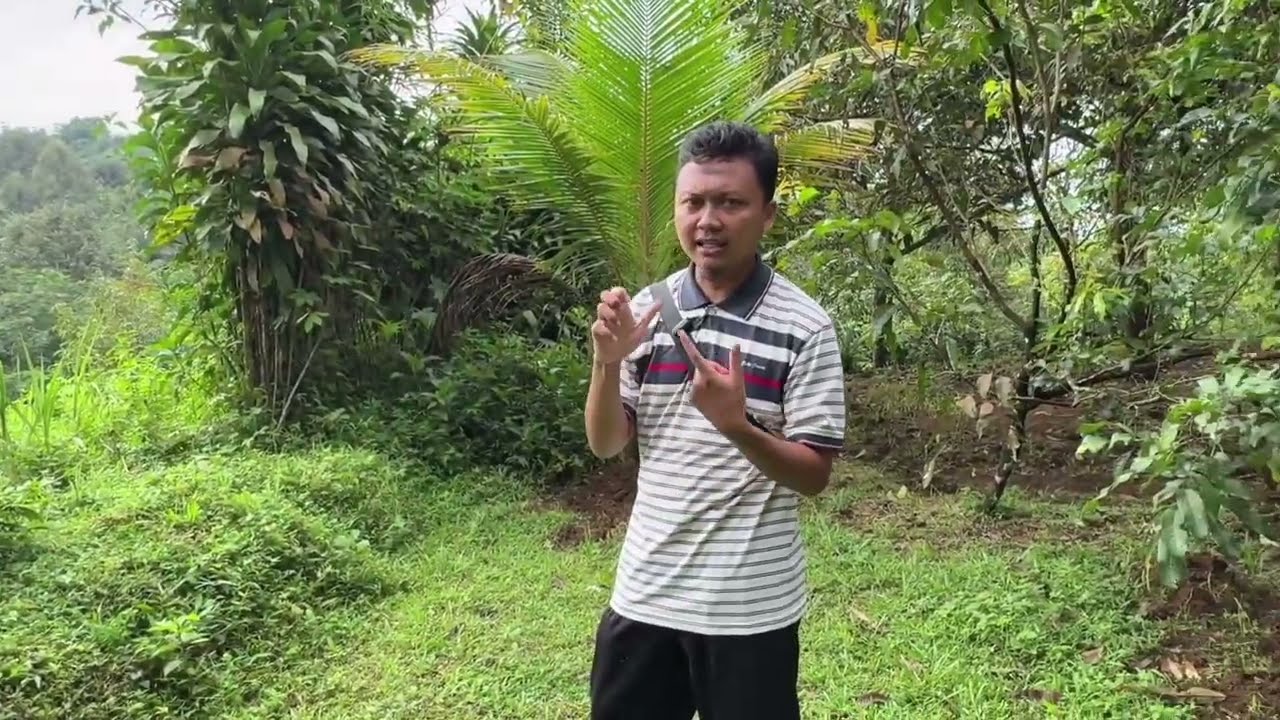 Survei Lokasi Kavling Kebun Durian - Banyumas