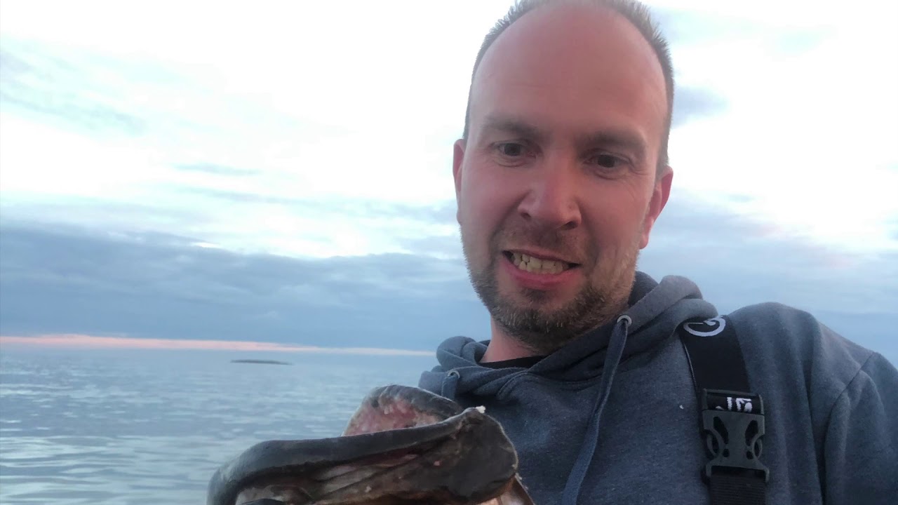 Noorwegen 2019 saltstraumen fishing