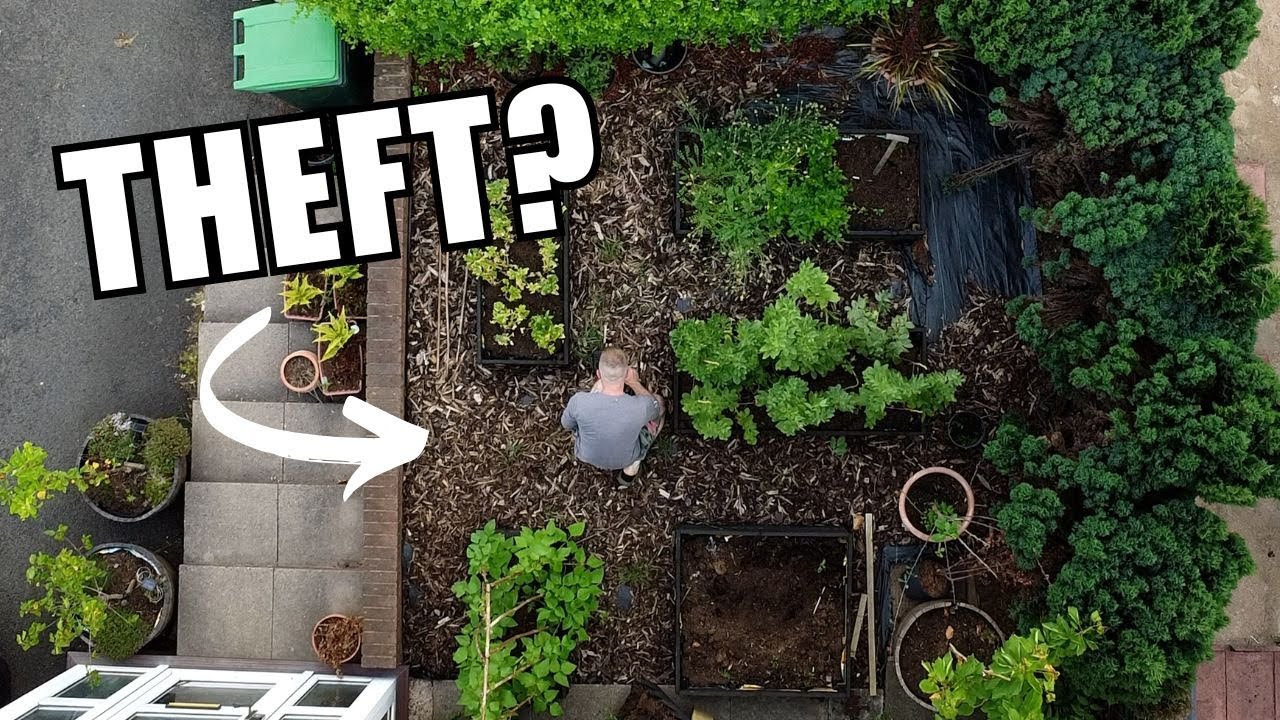 The unexpected results of growing food in my front garden