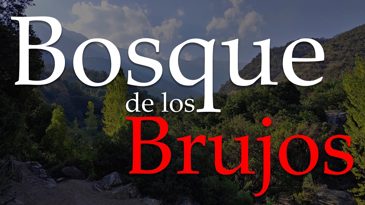 Bosque de los Brujos - Cajón del Maipo