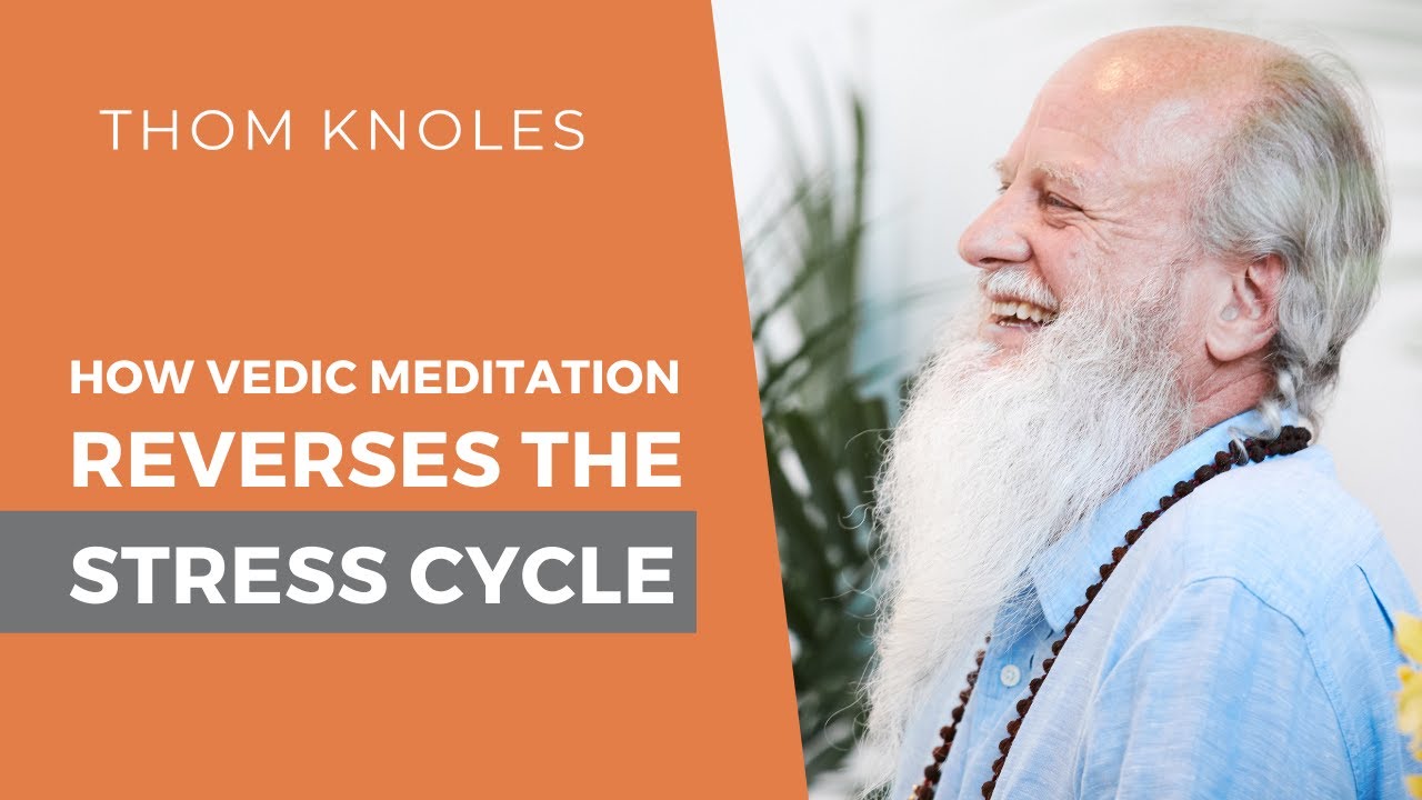 How Vedic Meditation Reverses the Stress Cycle