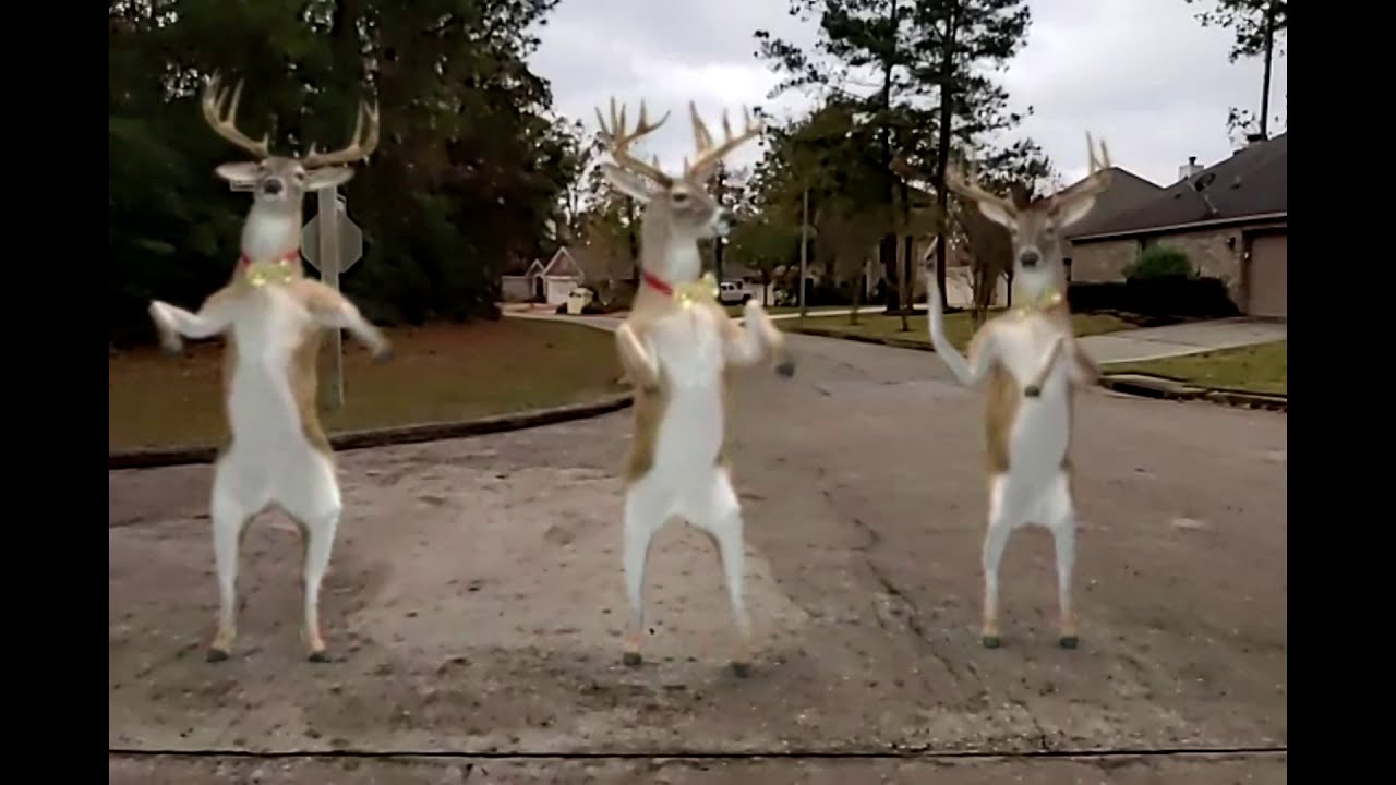 Grandma Got Run Over by a Reindeer